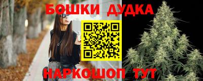 гидра Кинель
