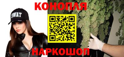 эйфоретик Кингисепп
